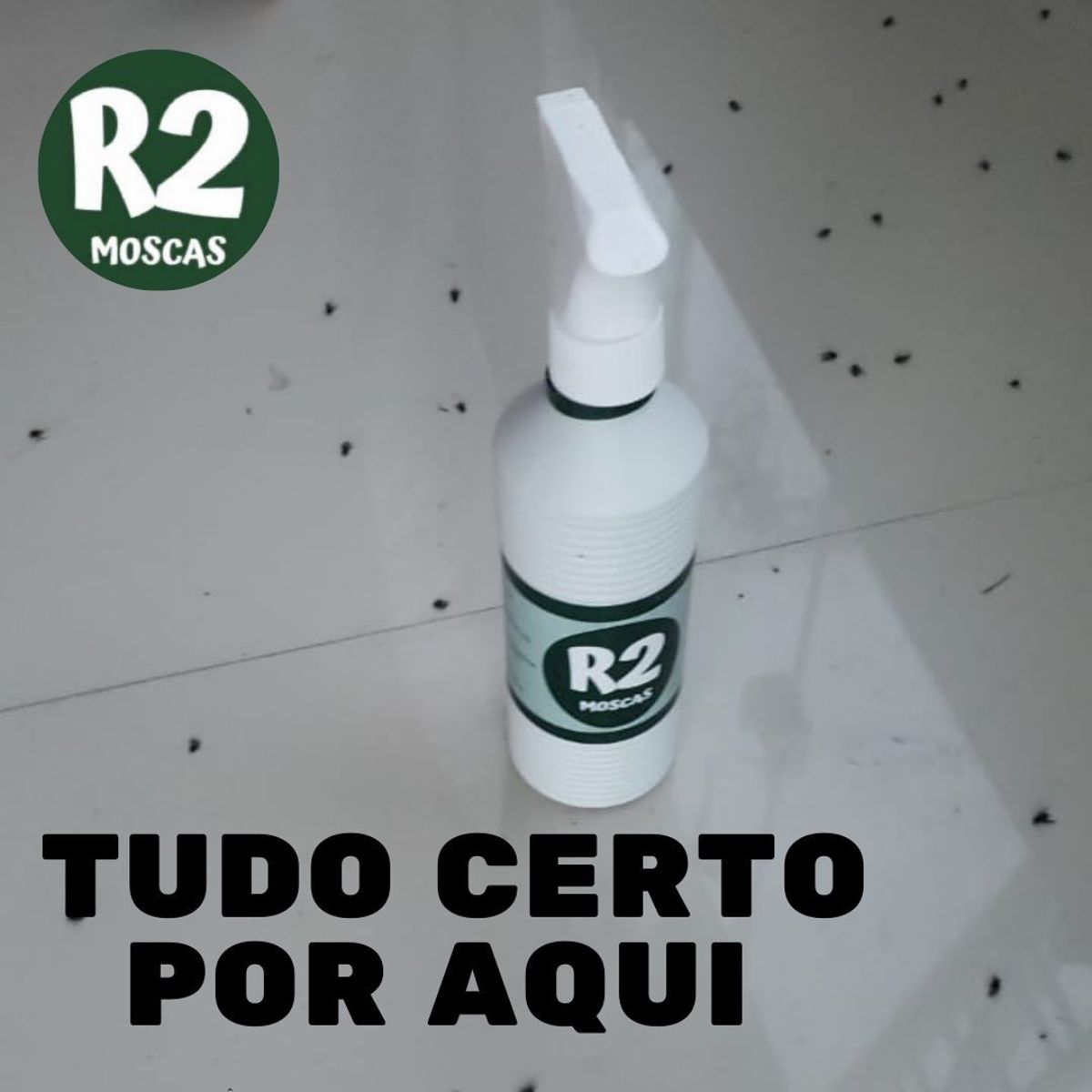 Kit 3 (1 Borrifador + 2 Refis ) 500ml cada - Imagem 5